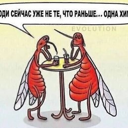 ����, ������, 49 ���