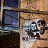 ���� Hitatsu Hito, ������, 33 ���� - ��������� 27 ��� 2023