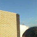 ���� ����, ��������, 51 ��� - ��������� 31 ��� 2023