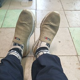 ,  , 37 