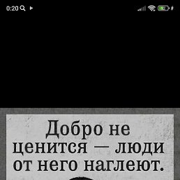 ���� ���������, ������� ������, 36 ��� - ��������� 25 ���� 2023