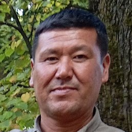 ���������, ������, 45 ���