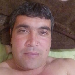 �����, ������ ��������, 39 ���