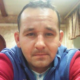 ������, ������, 41 ���