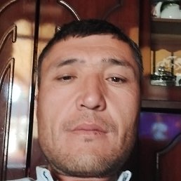 ���������, �����������, 41 ���