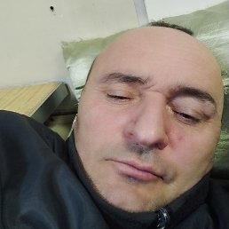 Petre, �������, 54 ����