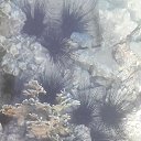 ���� ��������, ���������, 61 ��� - ��������� 3 ��� 2023 � ������ ���� ����������