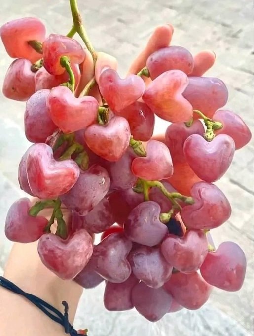   ( ) -         Wink ...