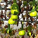 ���� ����, ����� - ��������� 29 �������� 2023 � ������ ���������� ������