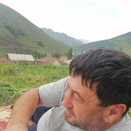 ����, ��������, 49 ���