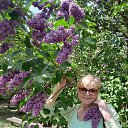 ���� �����, �����������, 66 ��� - ��������� 27 ��� 2023 � ������ ���� ����������