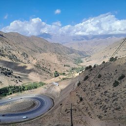 ���� ����, �����, 42 ���� - ��������� 22 �������� 2023