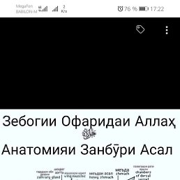 �����������, �������, 43 ����