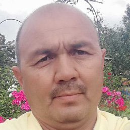 ������, ������, 54 ����