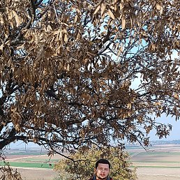 Doston, �����, 31 ���