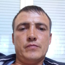 �������, ����, 37 ���