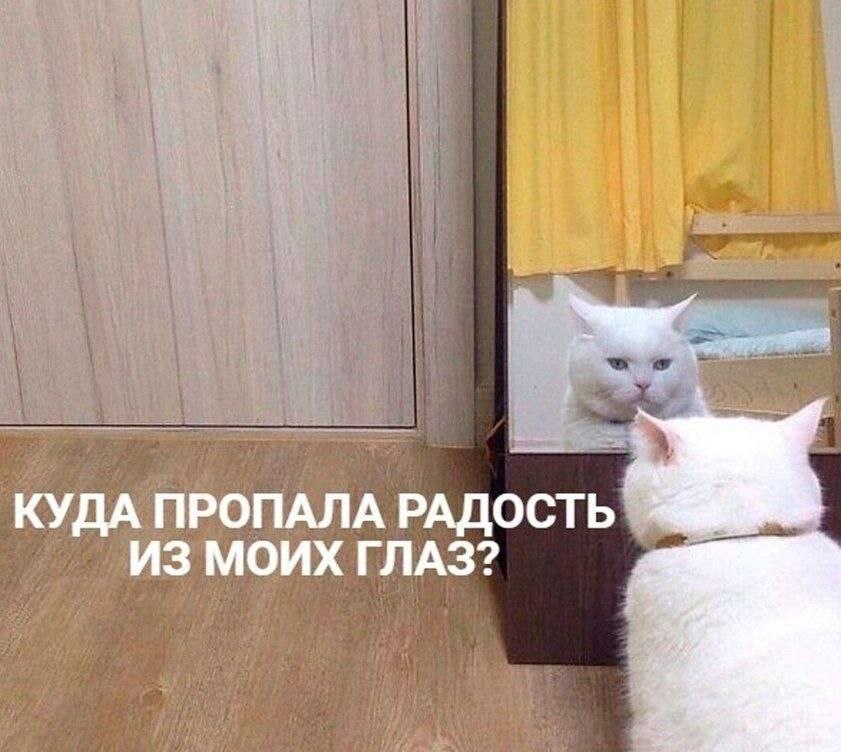   - 15  2023  11:56