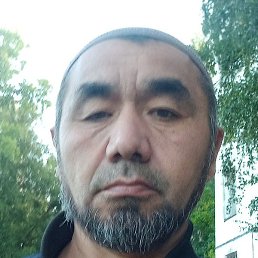 ����, �����-���������, 53 ����