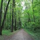 ���� �����, ������, 45 ��� - ��������� 17 ������� 2023 � ������ ���� ����������