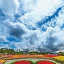 ���� �����, ������, 30 ��� - ��������� 22 ����� 2023