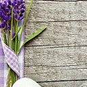 ���� �������, ������, 51 ��� - ��������� 17 ������� 2023 � ������ ���� ����������