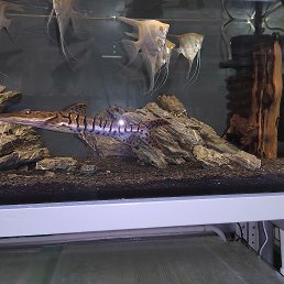 ���� ������, ������, 46 ��� - ��������� 30 ���� 2023