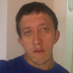 �����, ���������, 41 ���