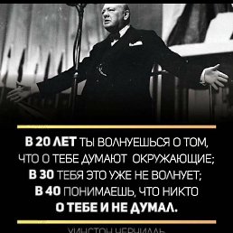 Salmon, �����-���������, 31 ���