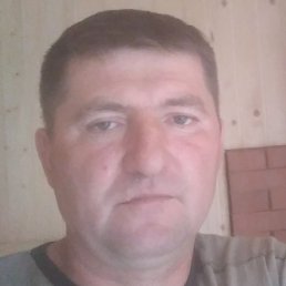 �������, �����-���������, 46 ���