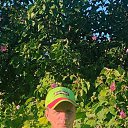 ���� ������, ������������, 53 ���� - ��������� 25 ������� 2023