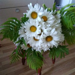 �������, �����, 45 ���