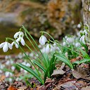 ���� ������, ����� - ��������� 30 ����� 2023 � ������ ���� ����������