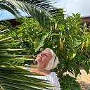 ���� �����, ����-�����������, 51 ��� - ��������� 5 ������� 2023 � ������ ���� ����������