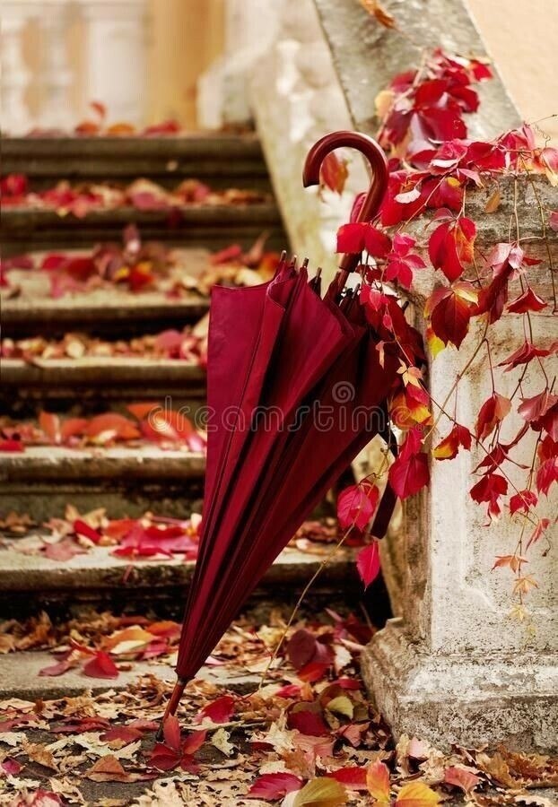      ...            ... ...