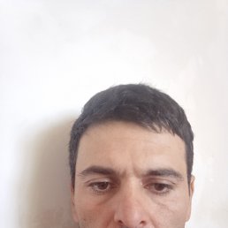 , 39, 