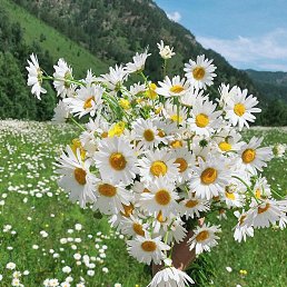 ���� ������, ����� - ��������� 8 ������ 2023