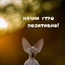 ���� ���������, ���������, 44 ���� - ��������� 10 ������� 2023 � ������ ���� ����������