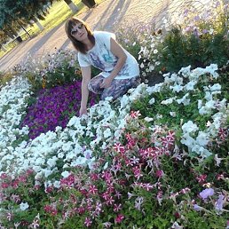 �����, �������������, 50 ���