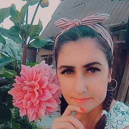 ���� ������, �����, 41 ��� - ��������� 17 ������� 2023