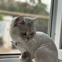 ���� ������, ������, 47 ��� - ��������� 12 ������� 2023 � ������ ���� ����������