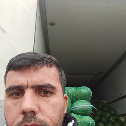 ����, ������, 37 ���