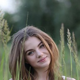 ����, �����-���������, 36 ���