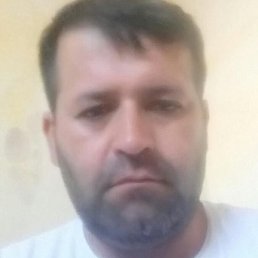 ����, �����-���������, 44 ����