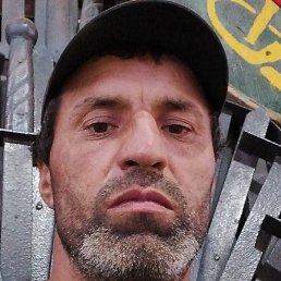 �������, ���������, 46 ���