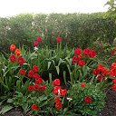 ���� �����, �������, 52 ���� - ��������� 11 ���� 2023 � ������ ���� ����������