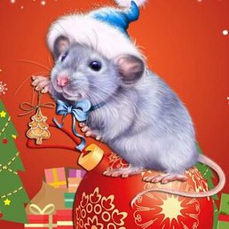 Katrina66606, �������, 40 ���