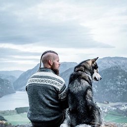 ������, ������, 41 ���