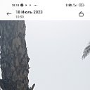���� �����, �������� - ��������� 23 ���� 2023 � ������ ���� ����������