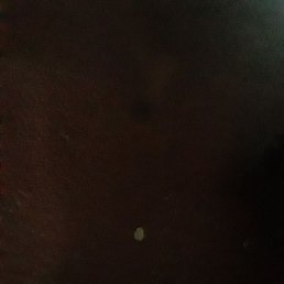 Nigrou, ����, 41 ���