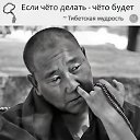  ,  , 55  -  11  2023    